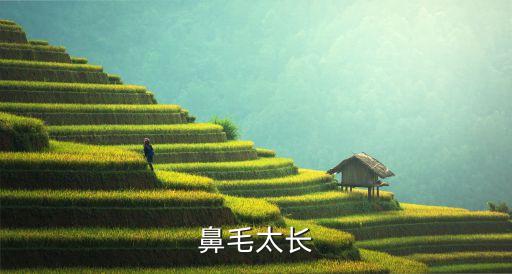 鼻毛長，鼻毛太長