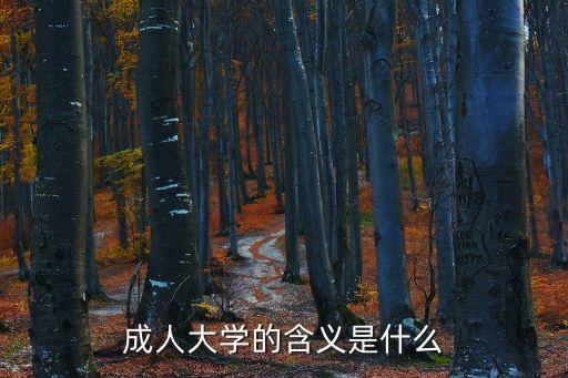 成人大學，成人大學的含義是什么