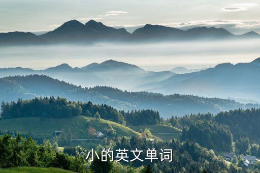 小的英文單詞