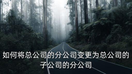 子公司，什么是子公司