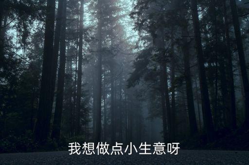 我想做生意，想做個小生意不知道干什么好