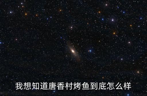 我想知道唐香村烤魚到底怎么樣