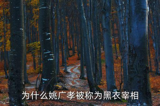 為什么姚廣孝被稱為黑衣宰相