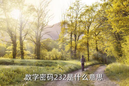 232，數(shù)字密碼232是什么意思