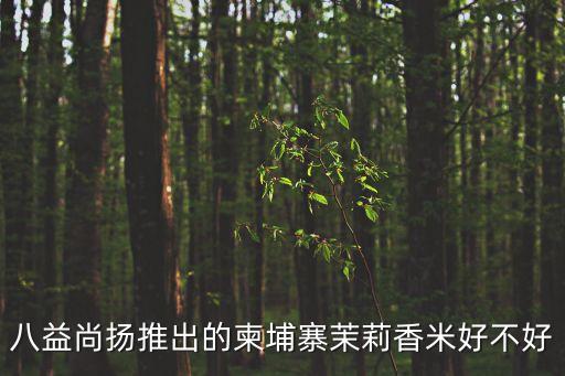 茉莉香米，八益尚揚推出的柬埔寨茉莉香米好不好