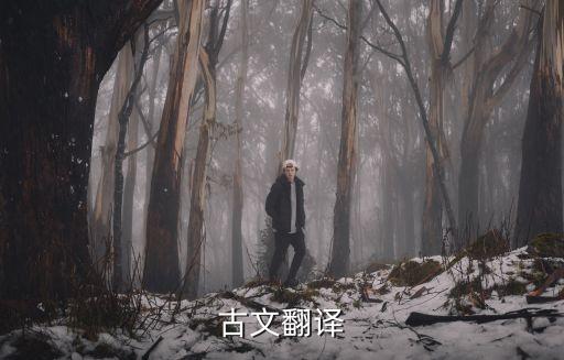 王著教帝學書，王著教帝學書 文言文翻譯