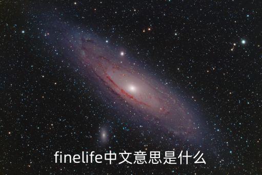 精致生活，現代女性追求的精致生活到底是什么樣子的