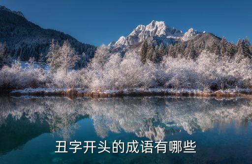 丑字開頭的成語有哪些
