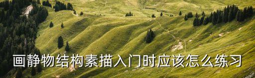 畫靜物結構素描入門時應該怎么練習