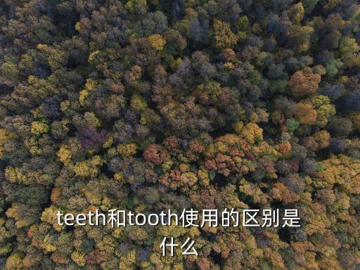 tooth是什么意思，tooth復數