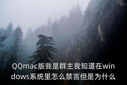 QQmac版我是群主我知道在windows系統(tǒng)里怎么禁言但是為什么