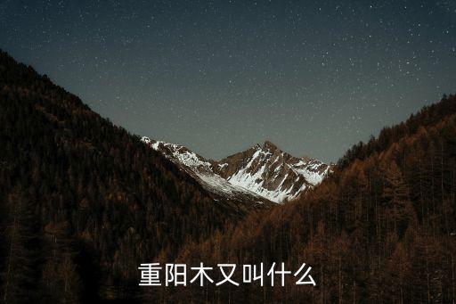 重陽(yáng)木，重陽(yáng)木又叫什么