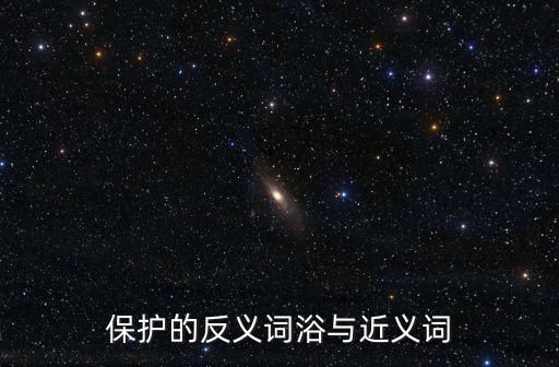 保護的反義詞浴與近義詞