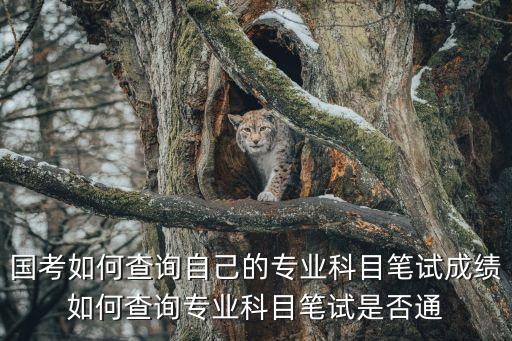 國考如何查詢自己的專業科目筆試成績如何查詢專業科目筆試是否通