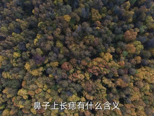女人鼻子上的痣圖解，鼻子上有痣代表什么對財運有何影響