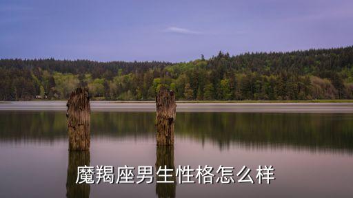 摩羯座的男生，魔蝎座的男人有什么優點和缺點