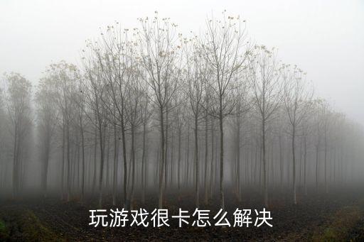 游戲卡怎么辦，游戲太卡怎么辦