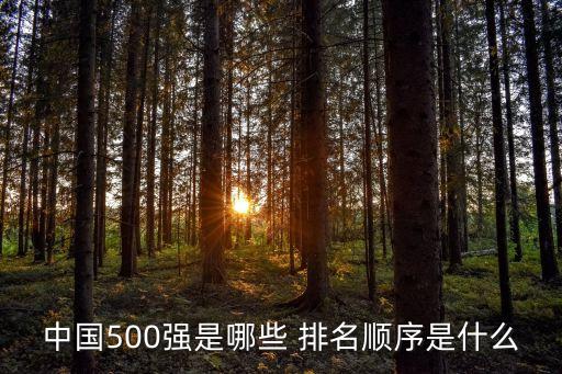 中國五百強排名，中國500強企業