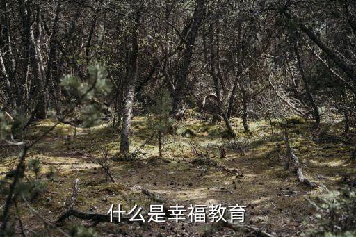 什么是幸福教育