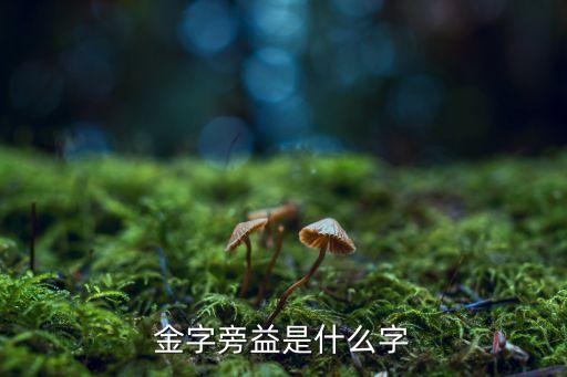 金字旁益是什么字