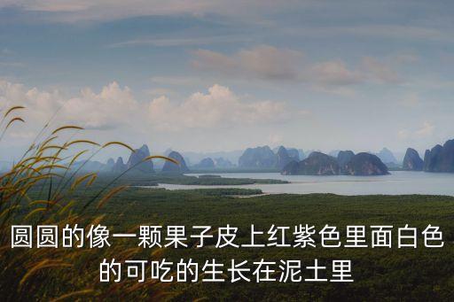地雷子，地雷子是地里的一種作物它還有什么叫法