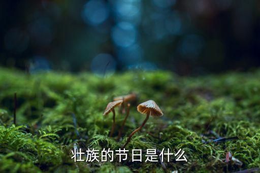 壯族的傳統節日，壯族的節日有哪些