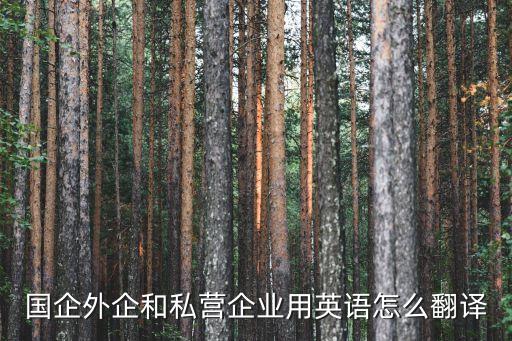 企業英文，國企外企和私營企業用英語怎么翻譯