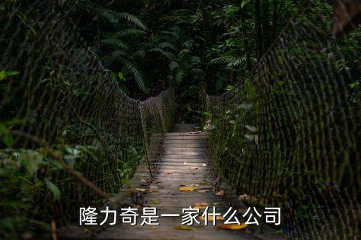隆力奇是一家什么公司