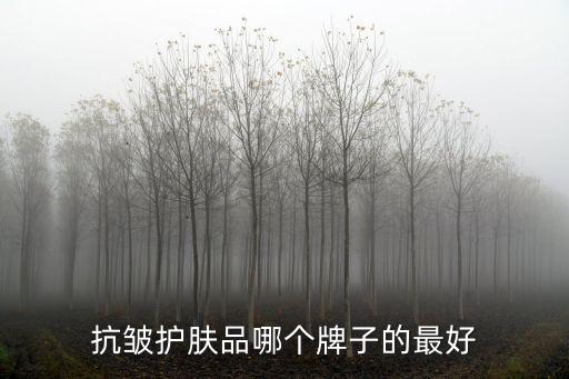 抗皺化妝品推薦，抗皺化妝品哪種好