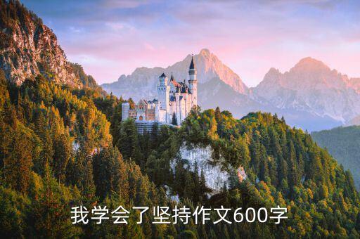 我學會了堅持，我學會了堅持作文600字