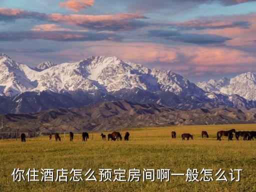 酒店訂房，你住酒店怎么預(yù)定房間啊一般怎么訂