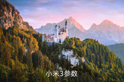 米3，米3 的質(zhì)量怎么樣