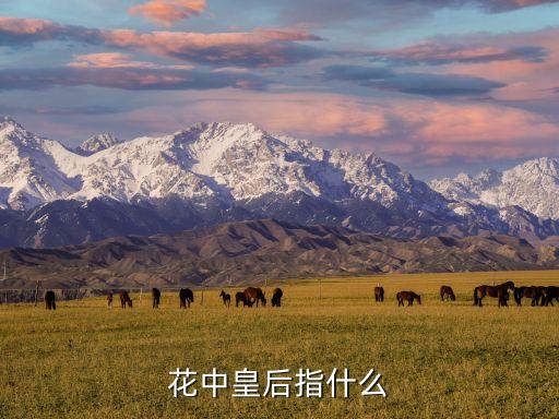 花中皇后指什么