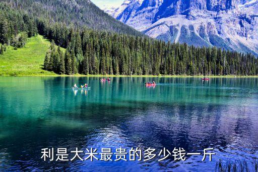 利是大米，利是是什么意思