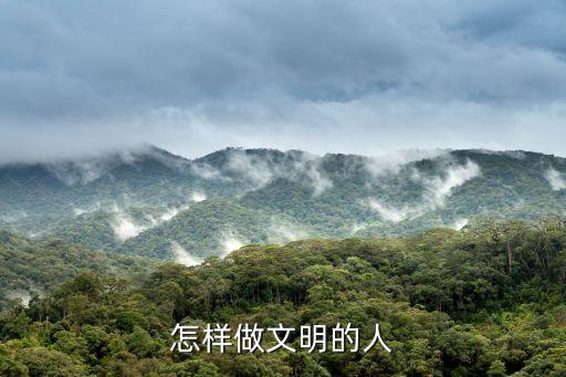 做個(gè)文明中國(guó)人，對(duì)吳鎮(zhèn)宇神曲做個(gè)文明中國(guó)人的歌詞理解