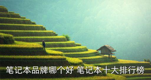 電腦排行榜，什么牌子電腦最好