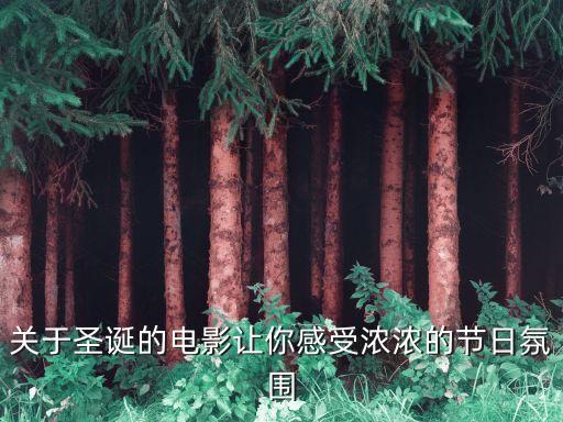 關于圣誕的電影讓你感受濃濃的節日氛圍