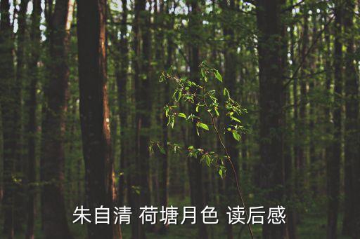朱自清 荷塘月色 讀后感