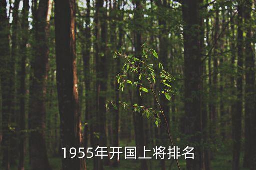 開(kāi)國(guó)十大上將，開(kāi)國(guó)十大將軍誰(shuí)最厲害