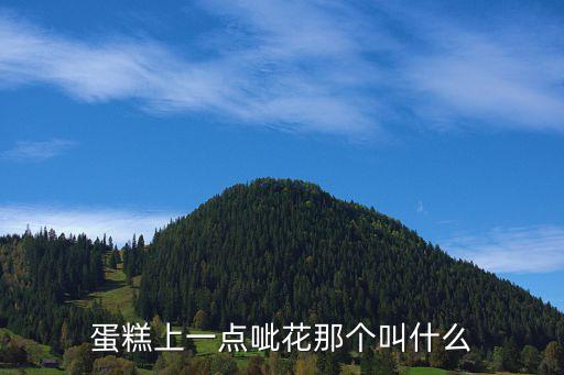 蛋糕煙花，蛋糕或酒上面插的會噴火花的東西是什么要去蛋糕店訂這種要怎么說