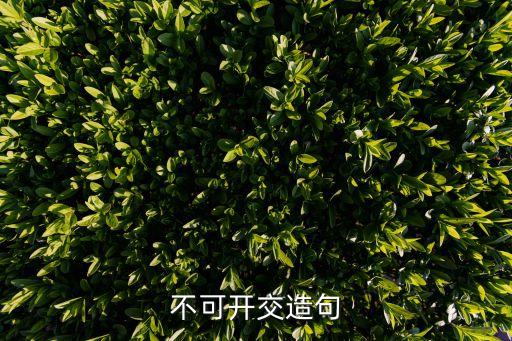 不可開交造句
