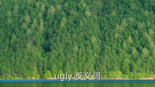 ugly 反義詞