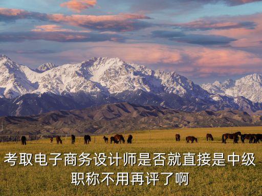 電子商務(wù)設(shè)計(jì)師，電子商務(wù)設(shè)計(jì)師和電子商務(wù)師的區(qū)別是什么