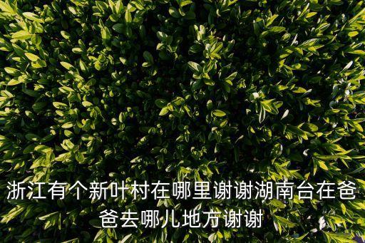 新葉村，新葉村在哪兒好玩不
