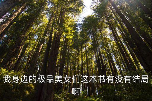 我身邊的極品美女們這本書有沒有結(jié)局啊