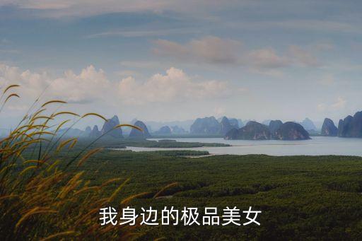 我身邊的極品美女們，我身邊的極品美女們這本書(shū)有沒(méi)有結(jié)局啊