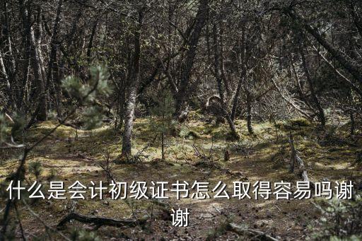 什么是會計初級證書怎么取得容易嗎謝謝