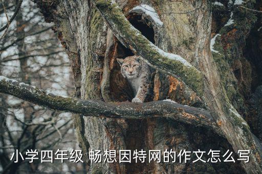 小學四年級 暢想因特網(wǎng)的作文怎么寫