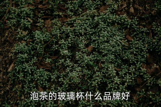 玻璃茶杯品牌，泡茶的玻璃杯什么品牌好
