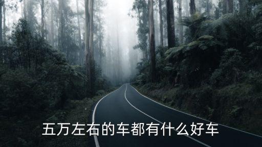 五萬左右的車都有什么好車